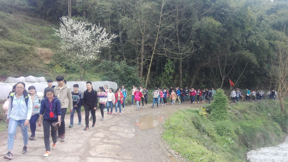 點(diǎn)擊查看原圖